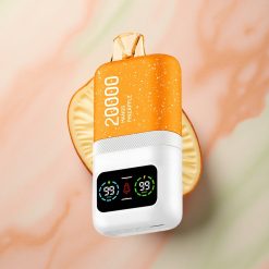 Aivono Aim Magic 20000 Mango Pineapple Dual Mesh LCD 600mAh